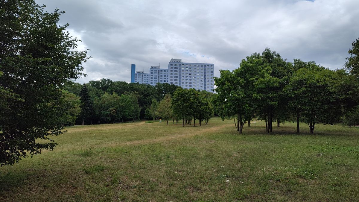Hole #7 (view from basket #6)