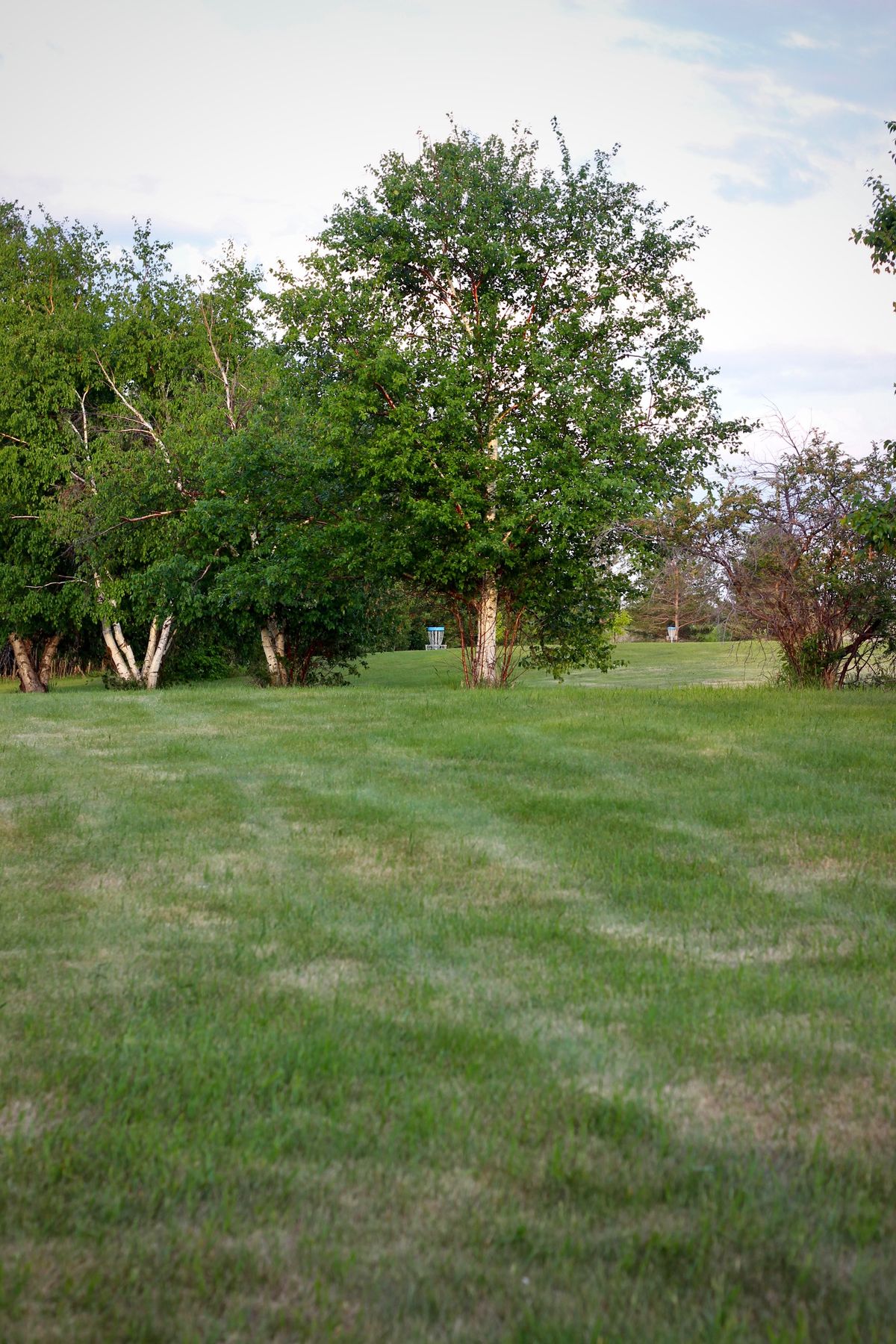 Fairway