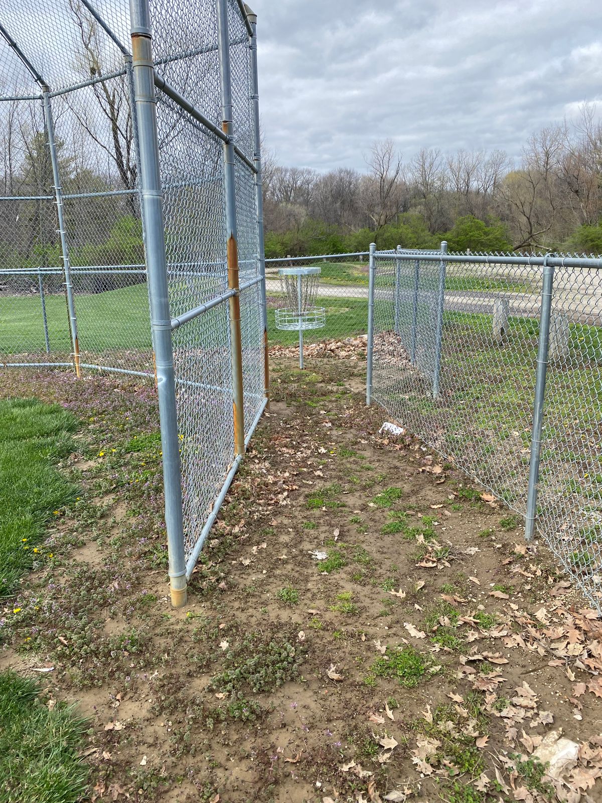 Hole 9 Basket
