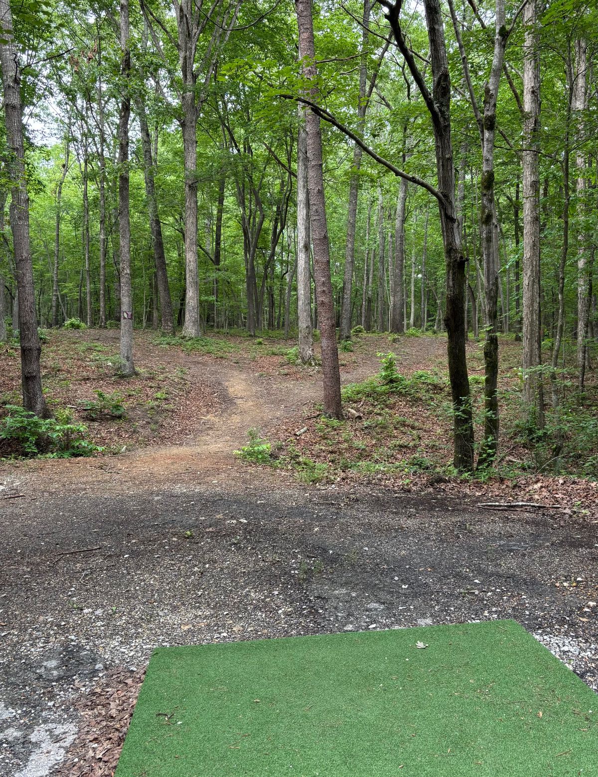 Hole #8 Tee