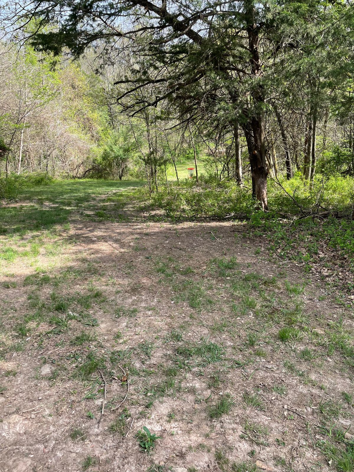 Hole 1 basket.