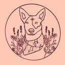 User avatar image