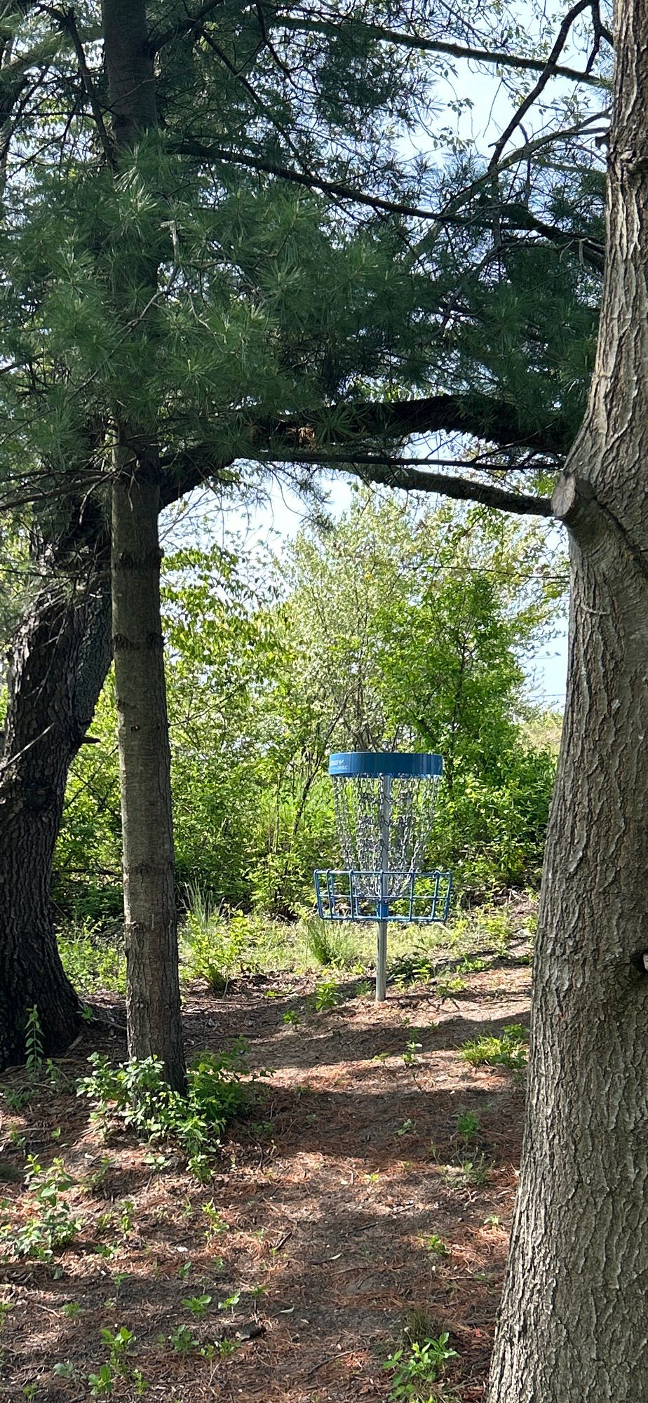 Hole #9 Approach
