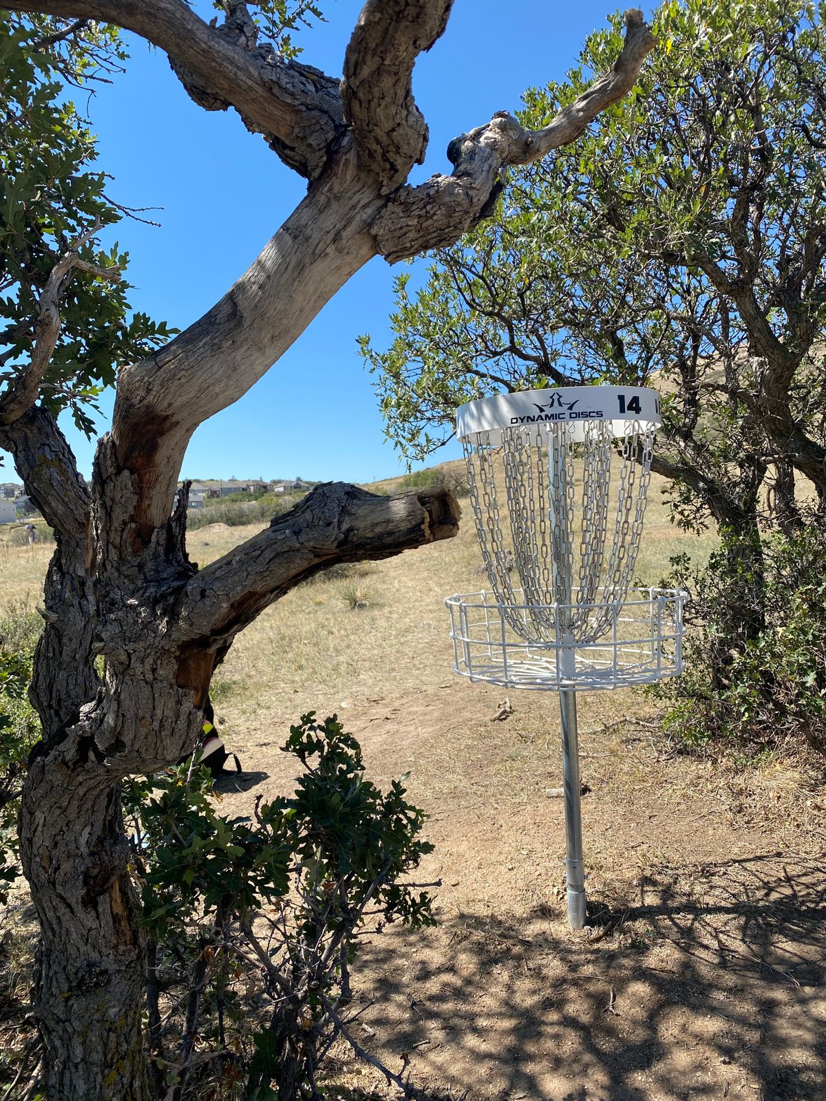 Hole 14
