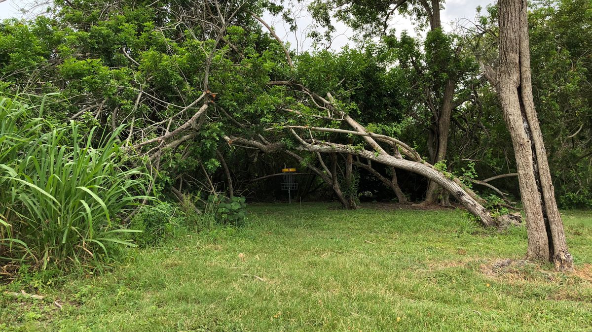 Hole 6