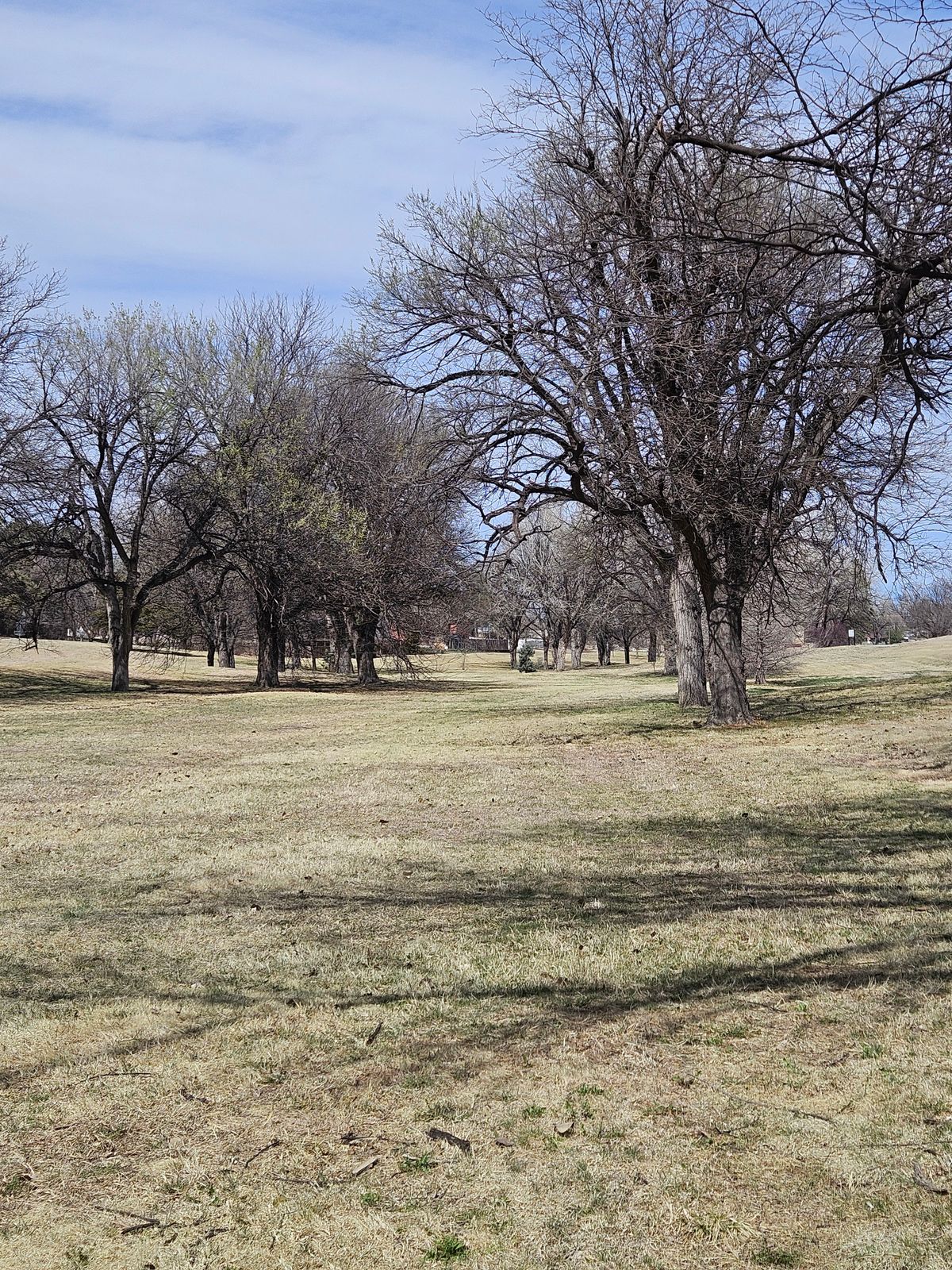 #18 fairway