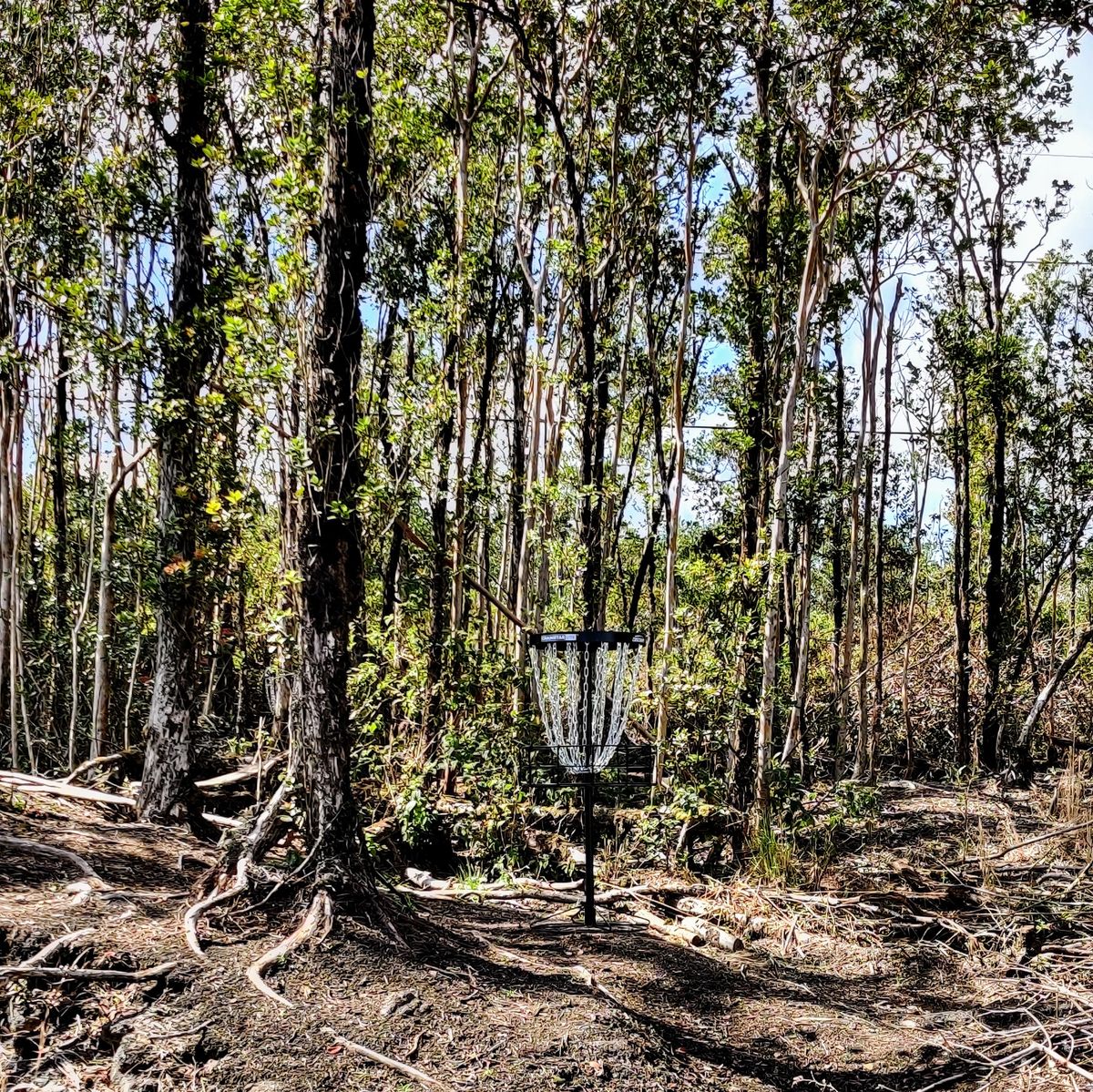 Hole #9