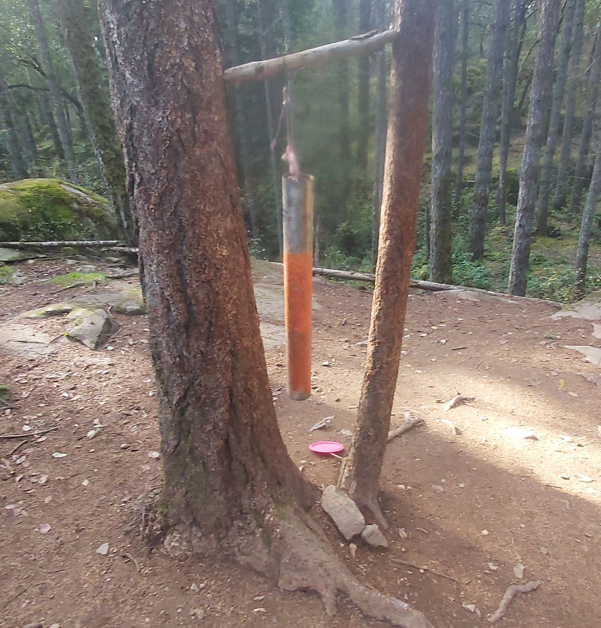 First hole with an ace! Lovely start! Fun course!