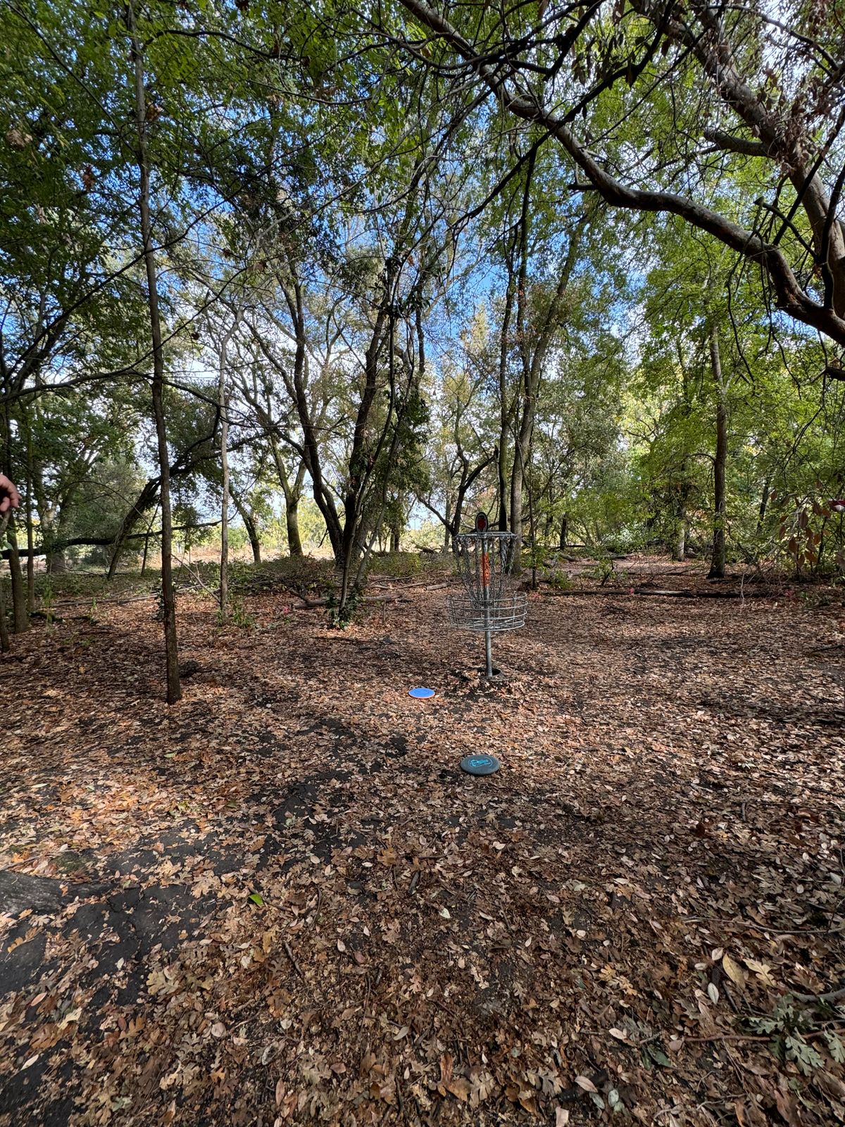 Hole 15