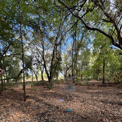 Hole 15