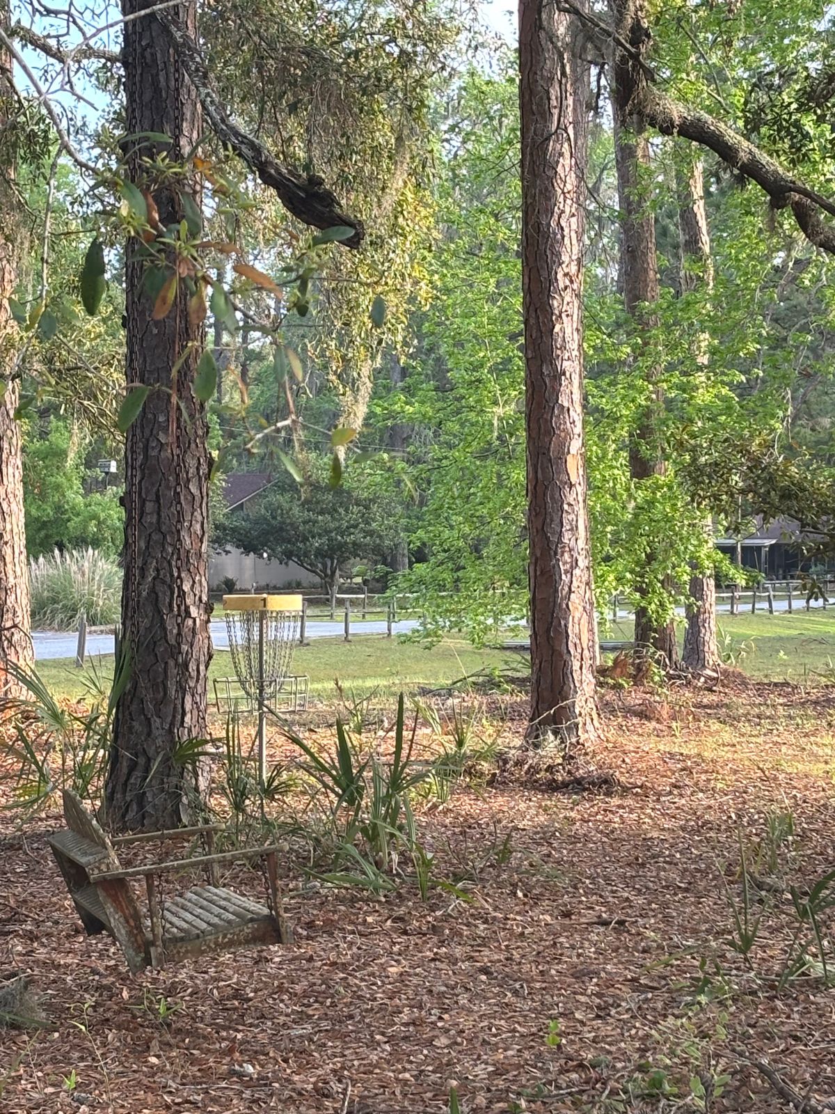 Not woods, more like open trees.