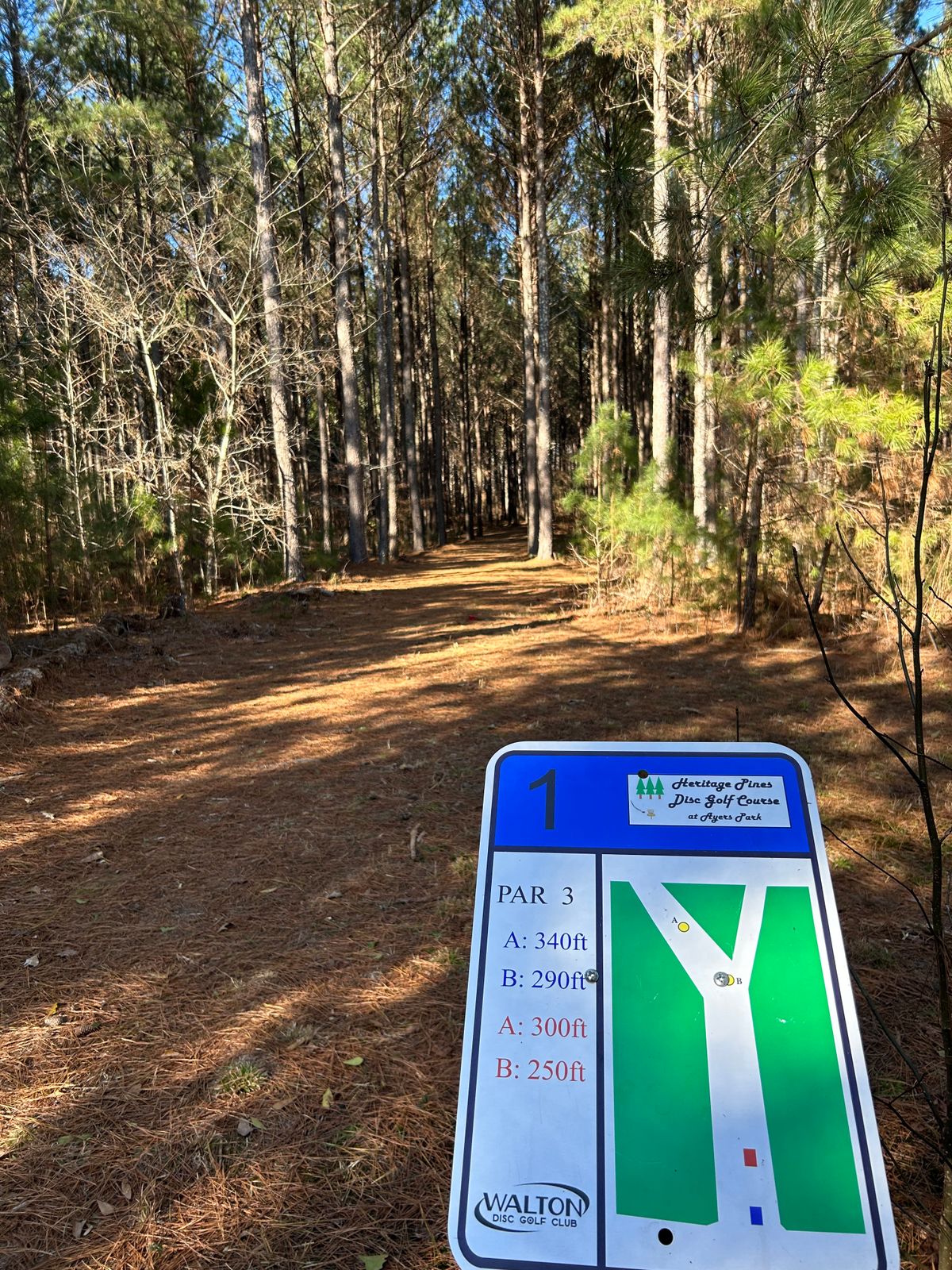 Hole 1 blue