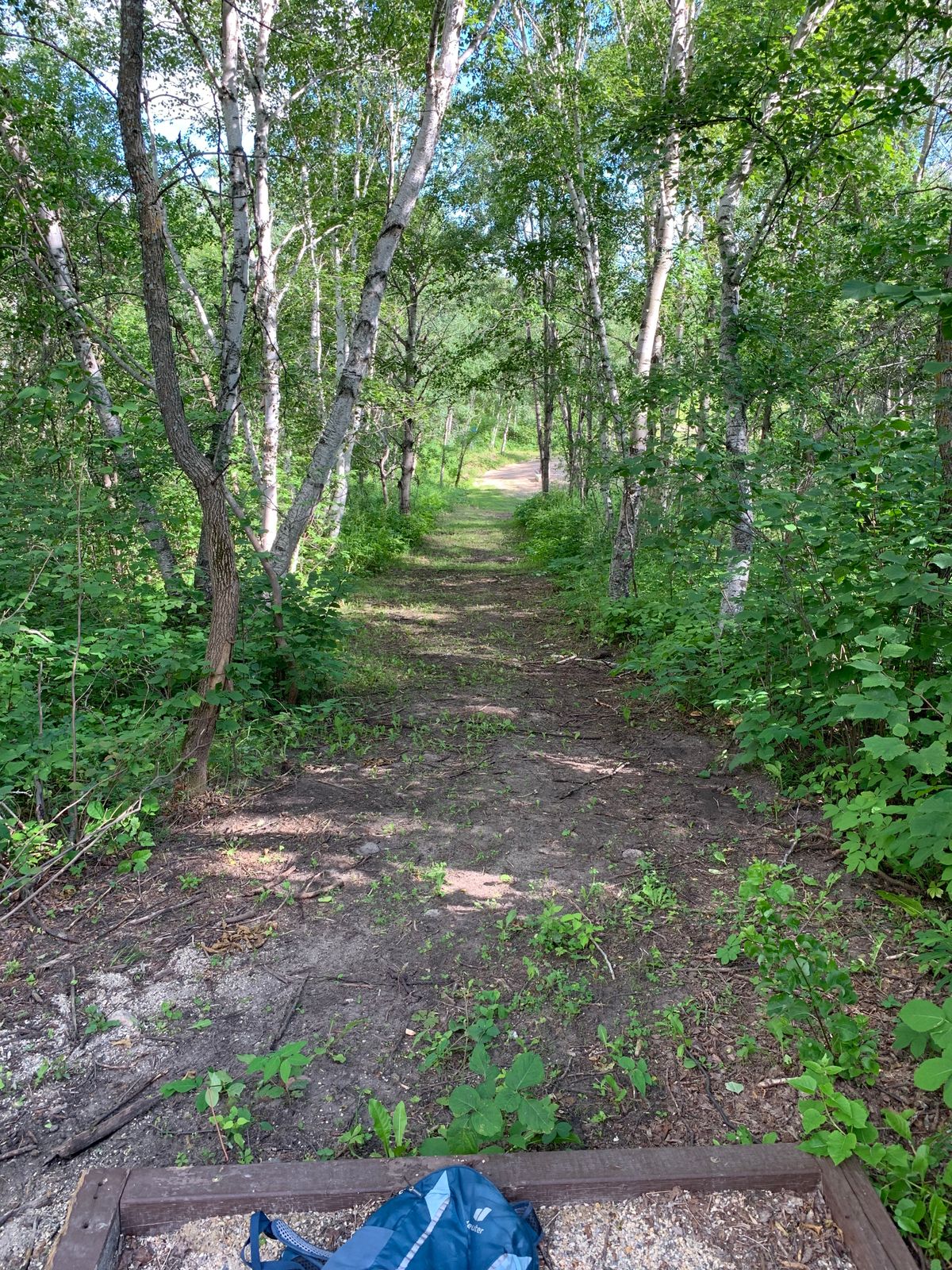 Hole 10. Downhill narrow fairway