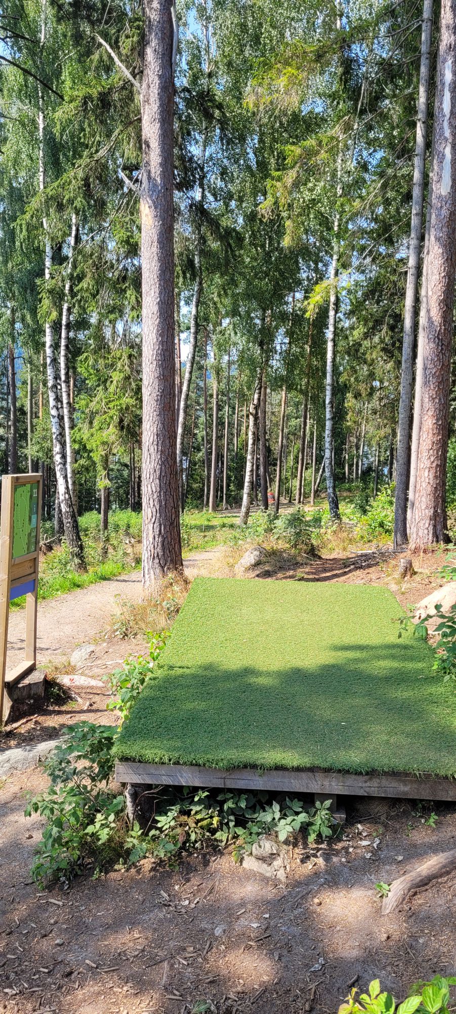 Tee - 11
