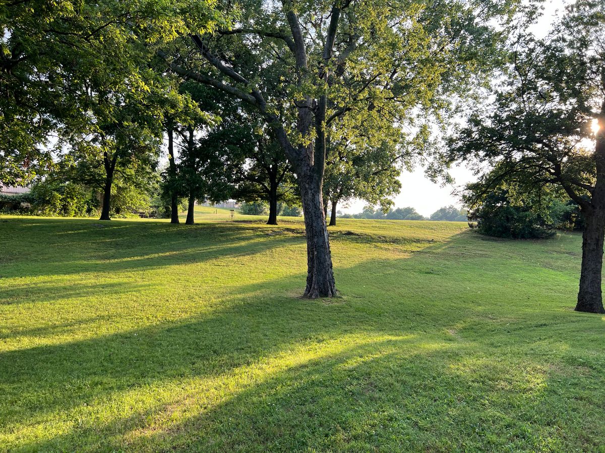 8 Fairway