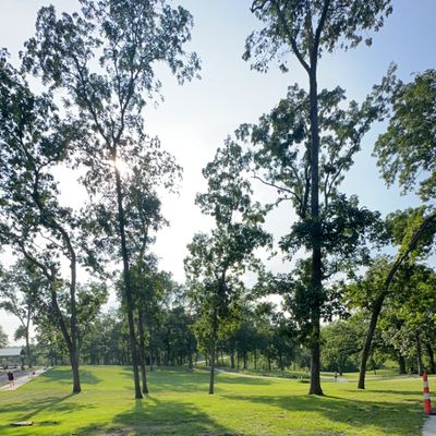 Hole 12