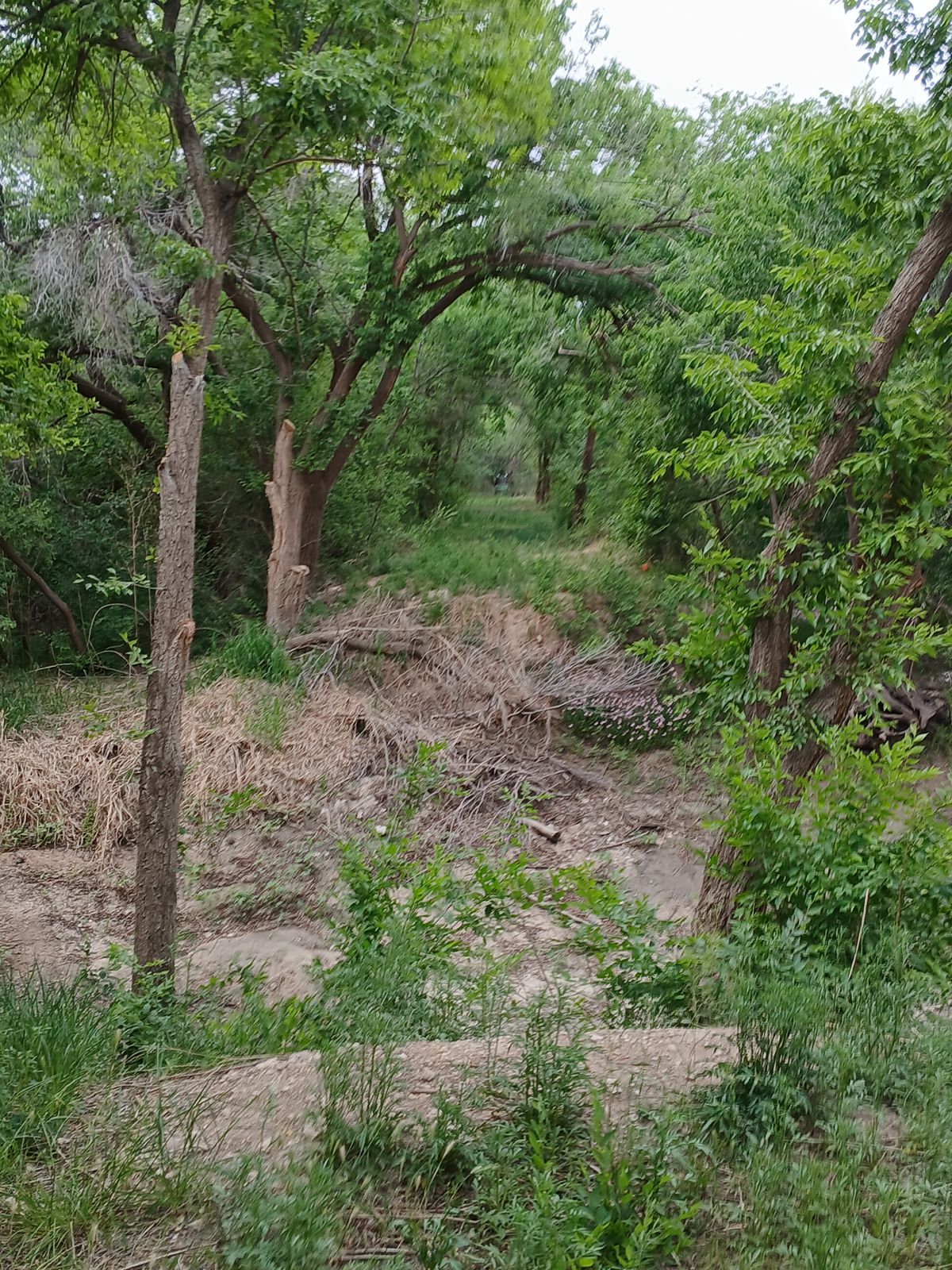Hole 7 fairway