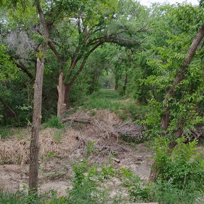 Hole 7 fairway