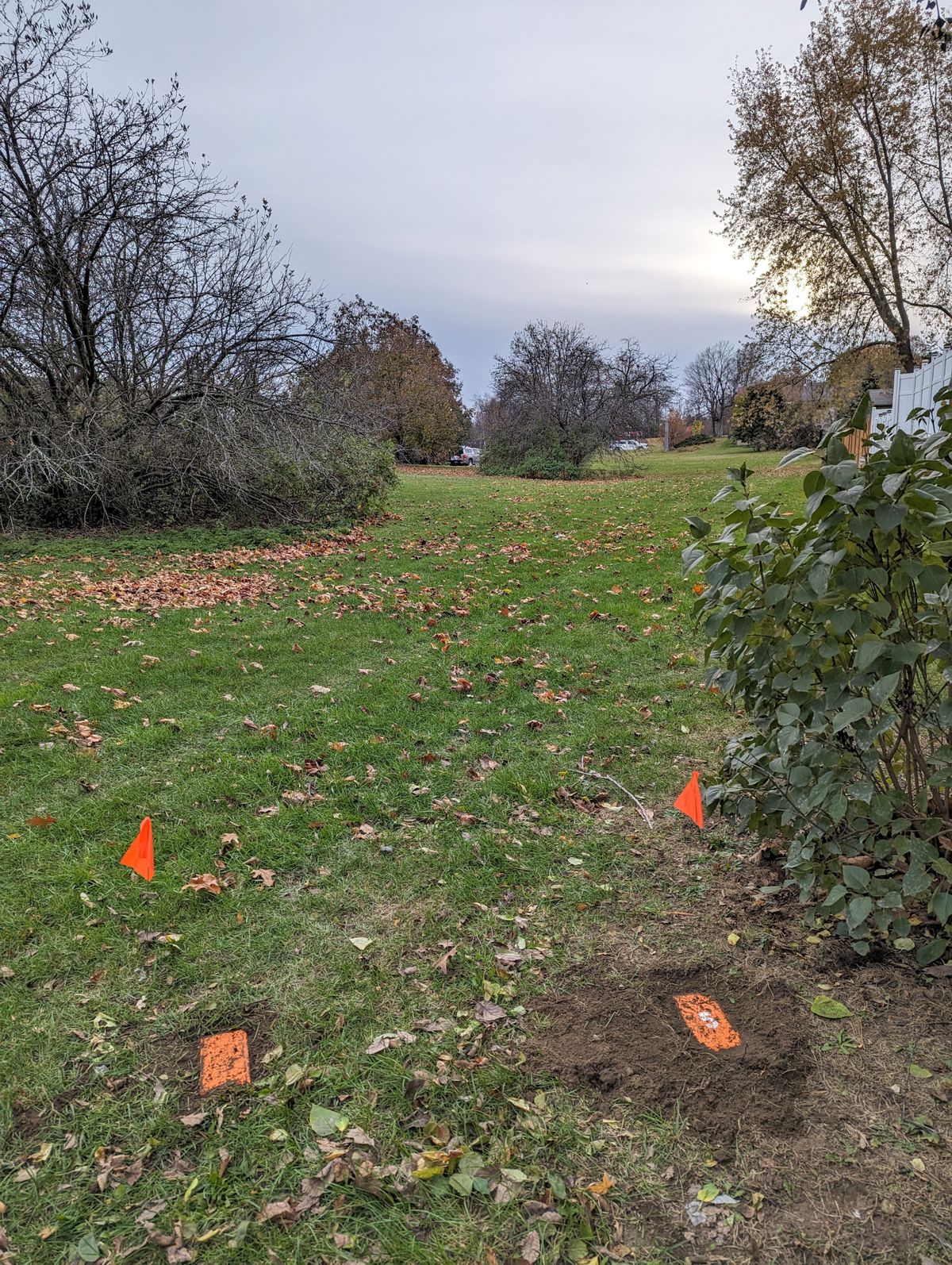Tee3