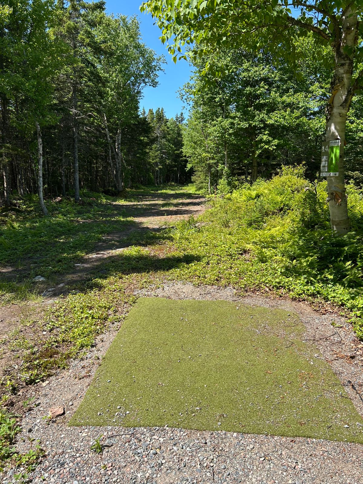 14 white fairway.