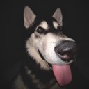User avatar image