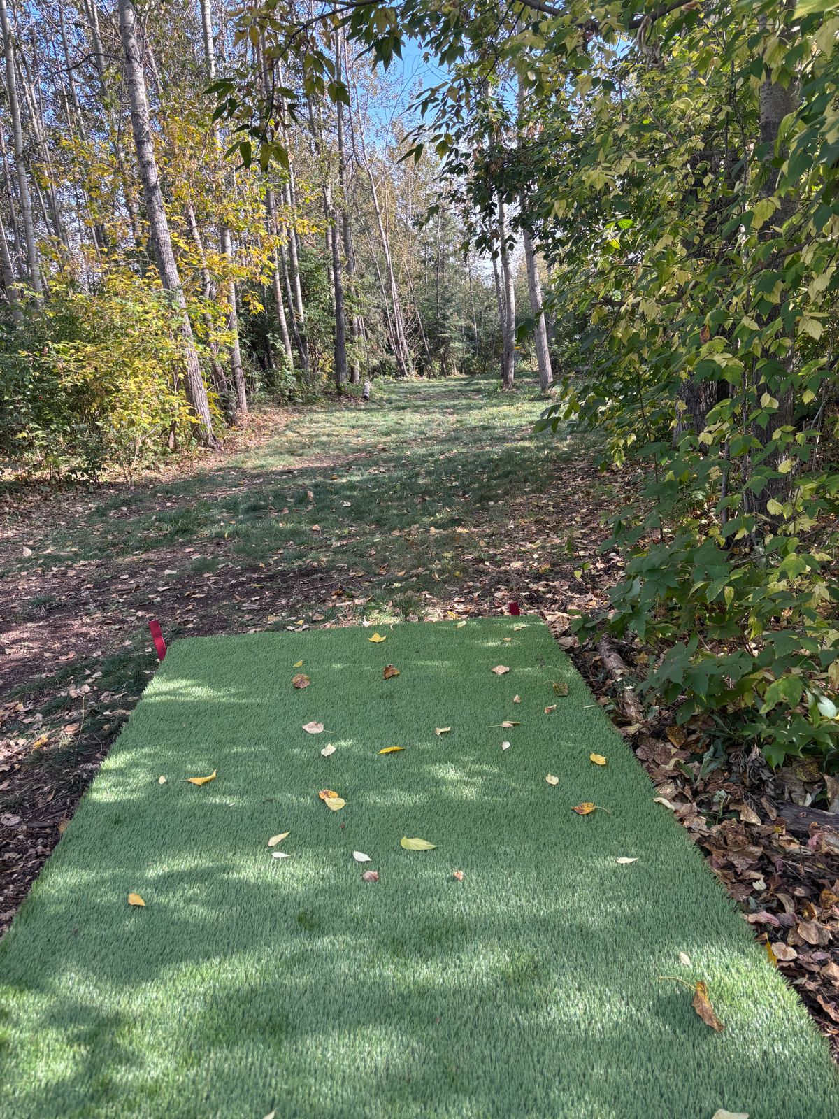 Hole 11 Red Teepad