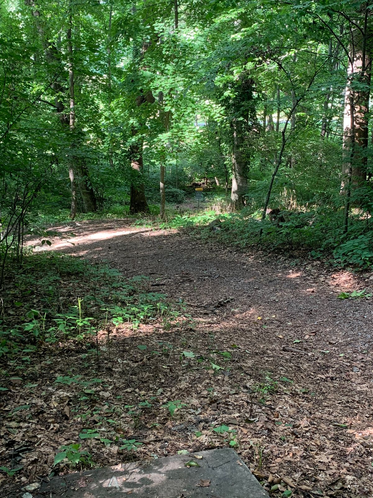 Hole 4