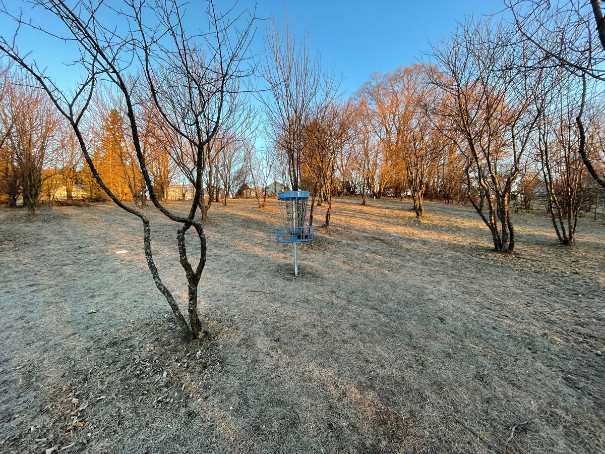 Hole one basket - blue