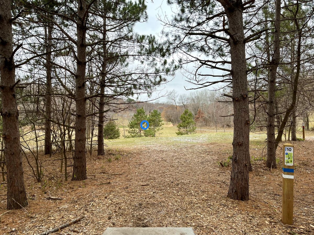 My favorite new hole