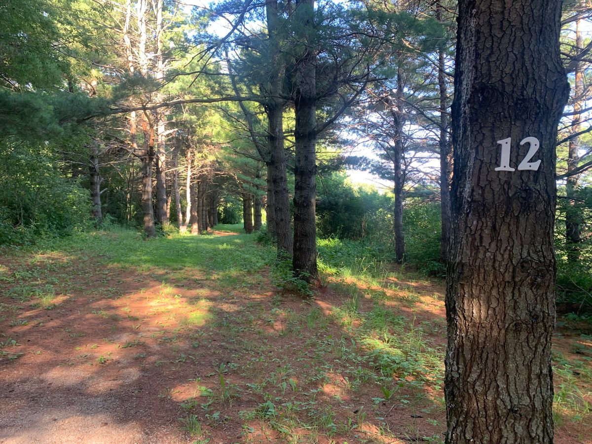 View of hole 12.
