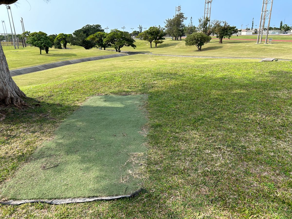 Hole 11 short pad