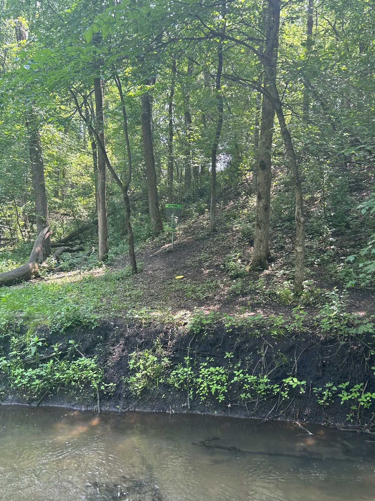Hole 7