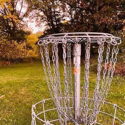Hole 6’s basket placement