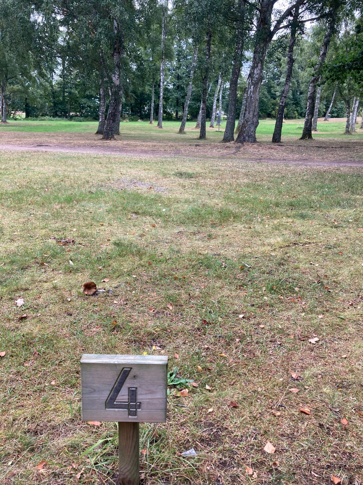Hål 4