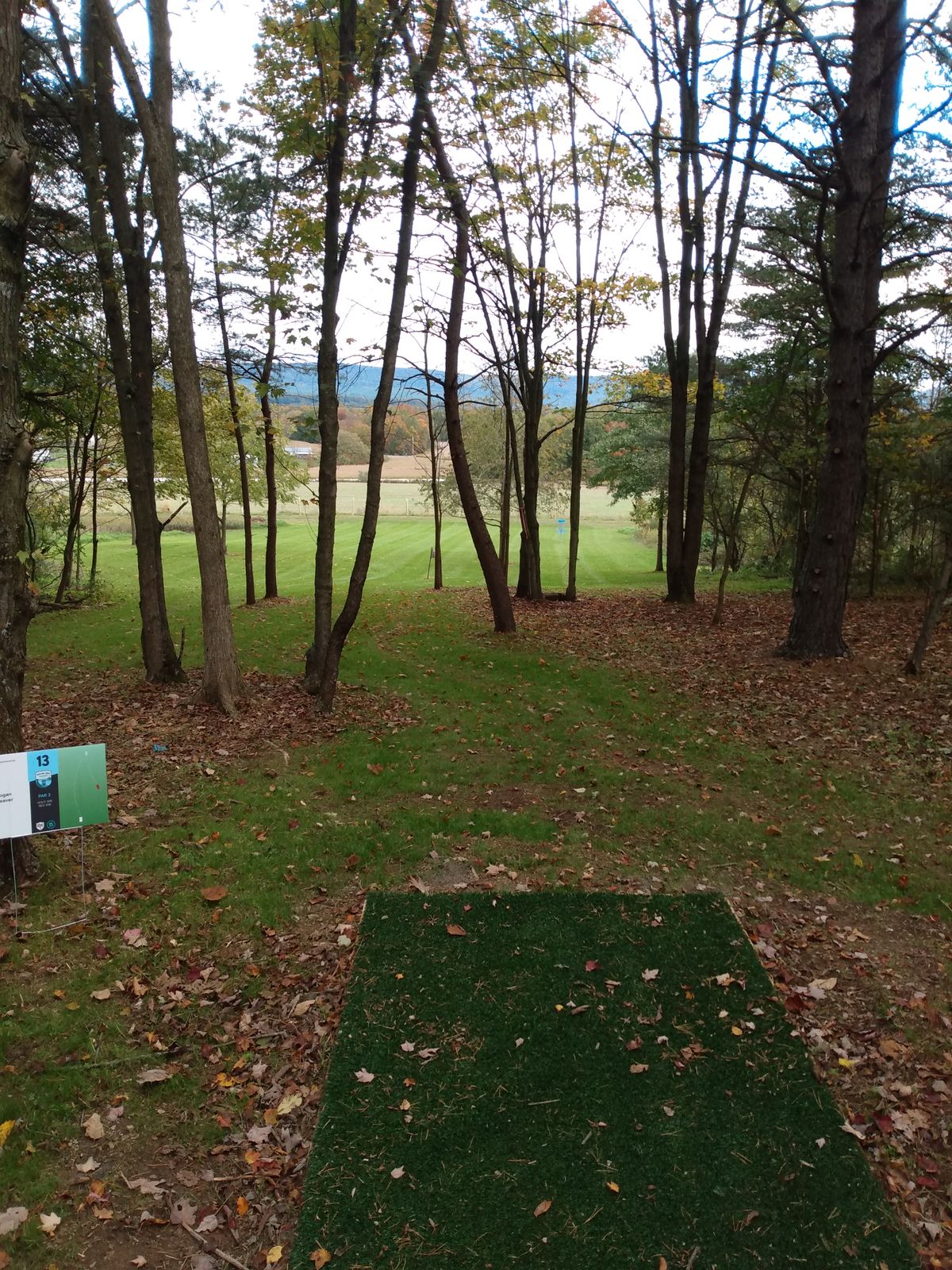 Hole 13 red tee.