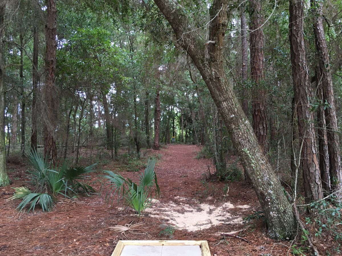 Hole 3 Tee