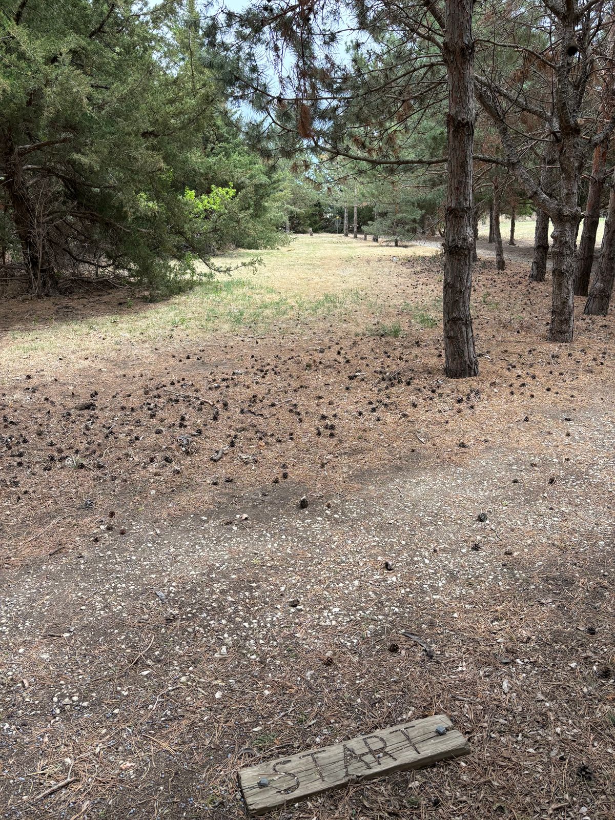 Hole 1
