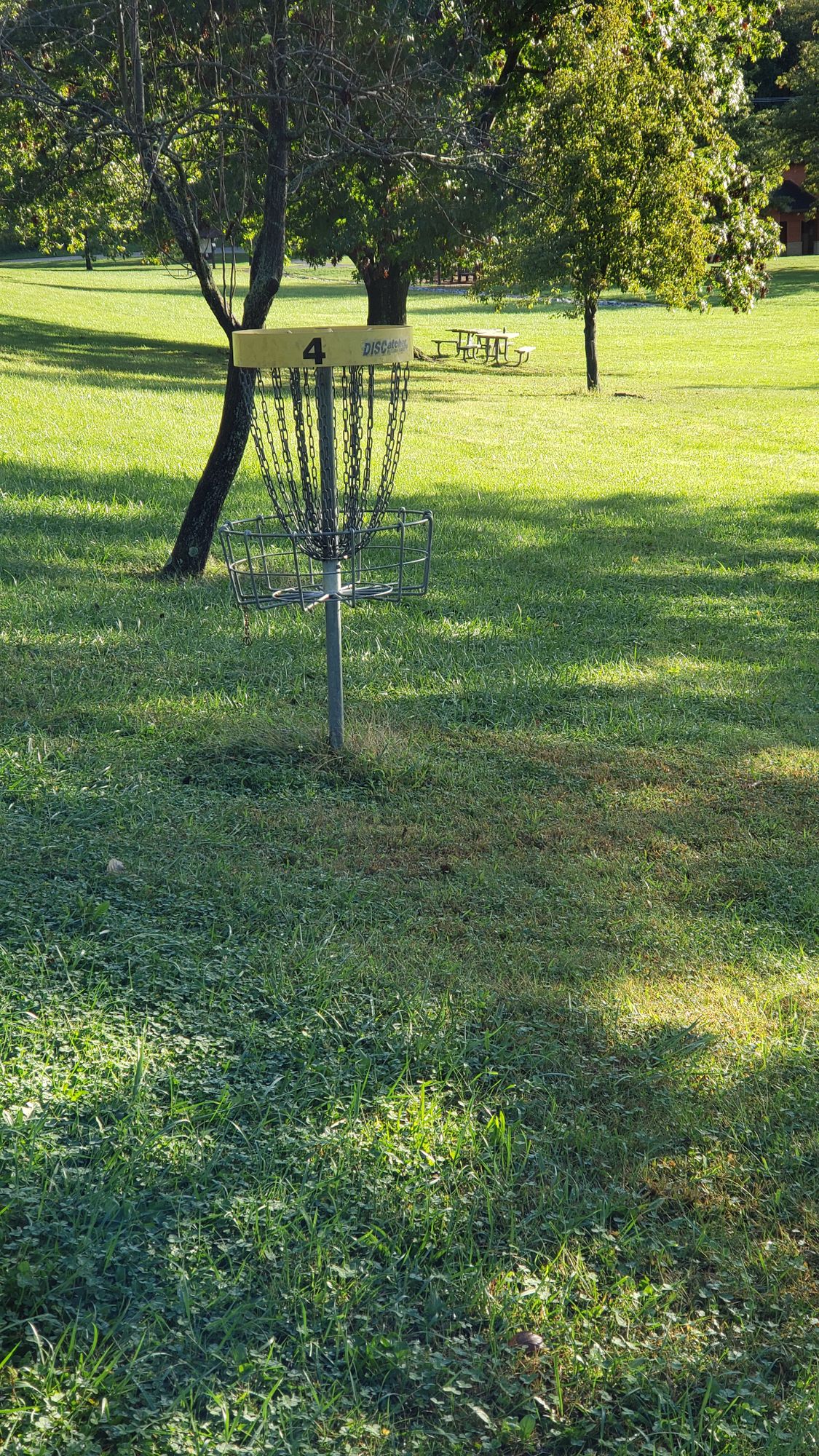 Hole 4 basket