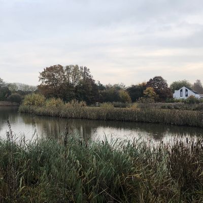 View of legendary hole 4, across the lake