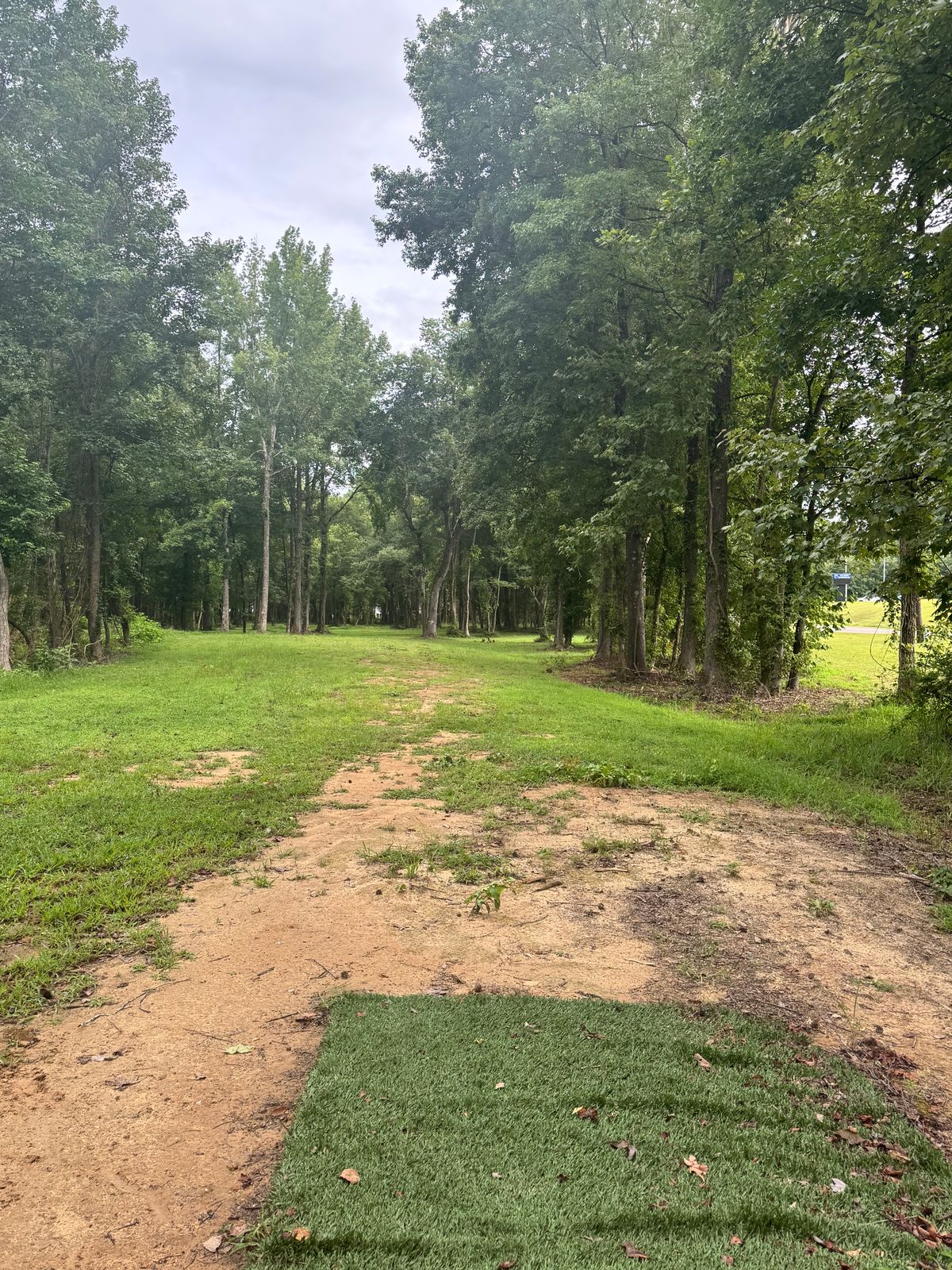 Hole 15