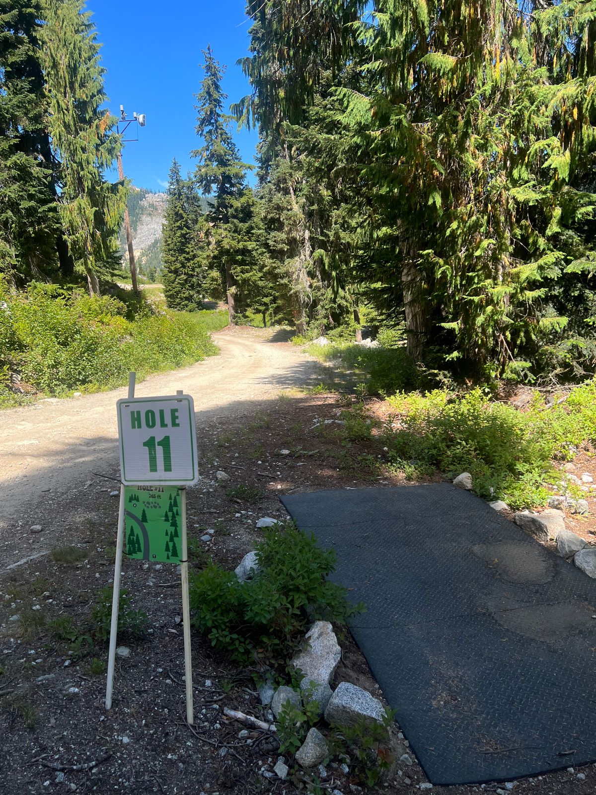 Hole 11 view from the tee. Road curves left, basket is to right of road behind cluster of trees.
