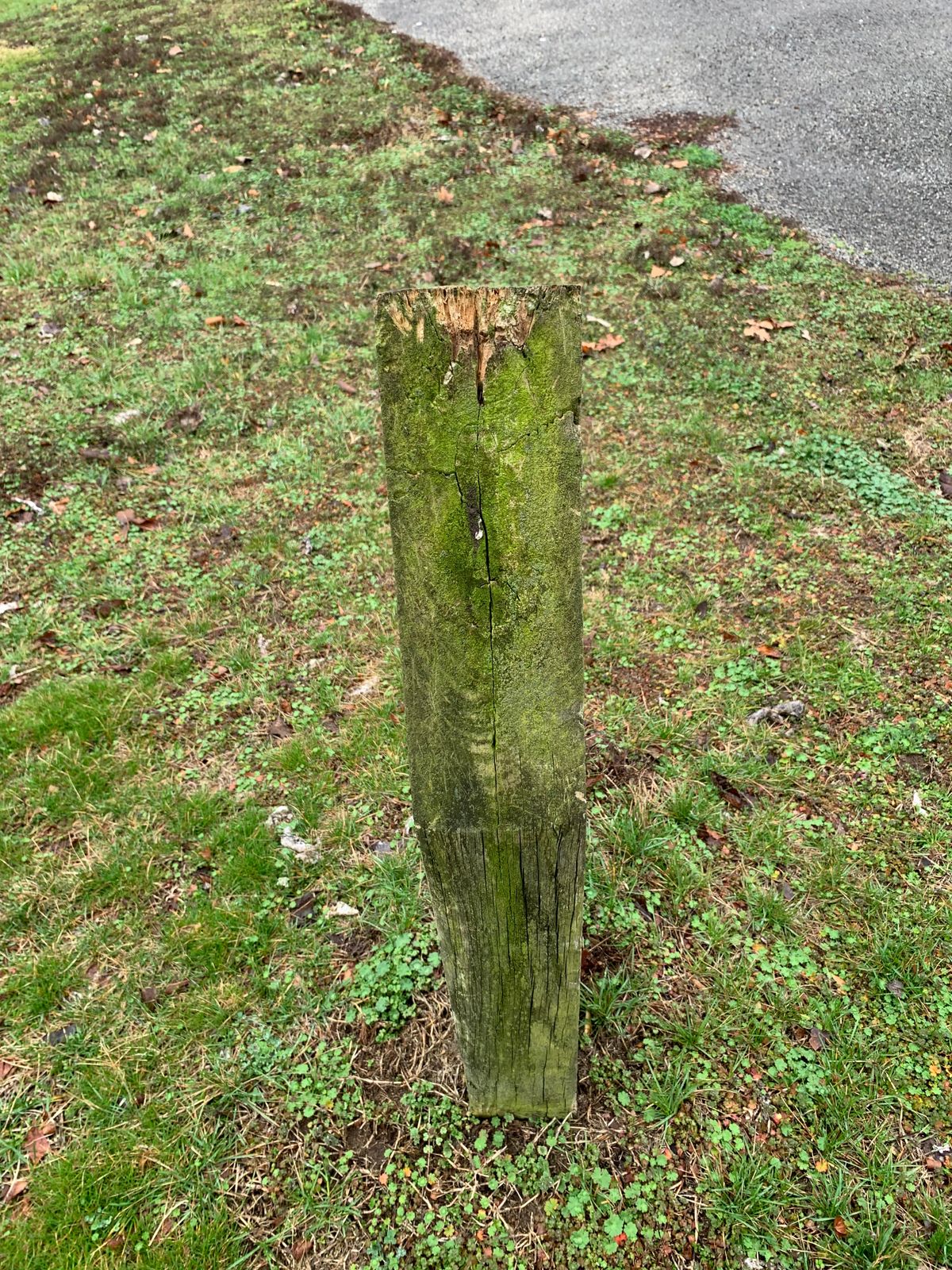 Missing signage for Basket 11 (Long tee pad to Basket 02).