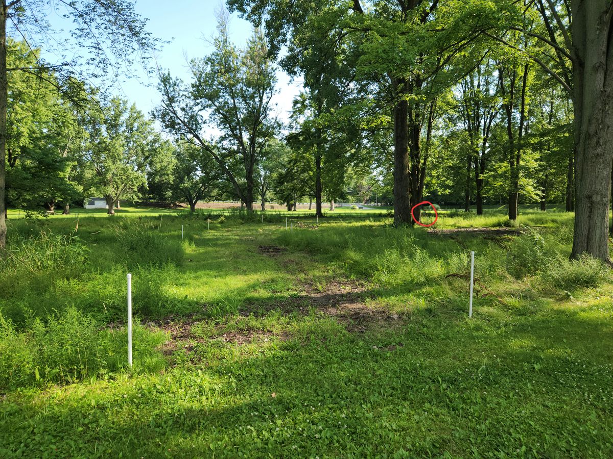 View of beginning of fairway on hole 2