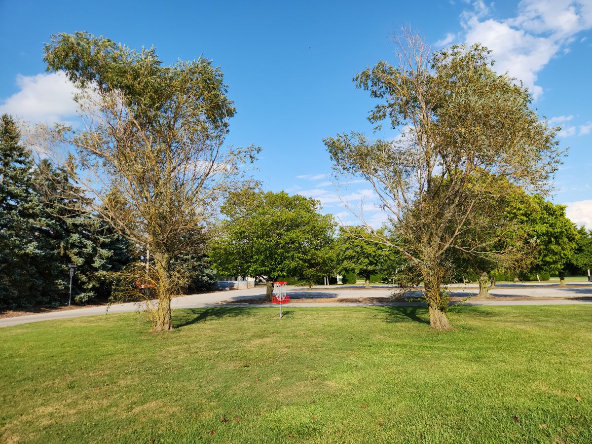 View of hole 15's green from fairway