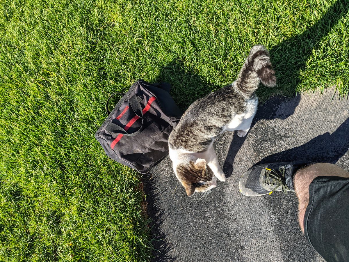 Greeted at hole 1 by the groundskeeper!