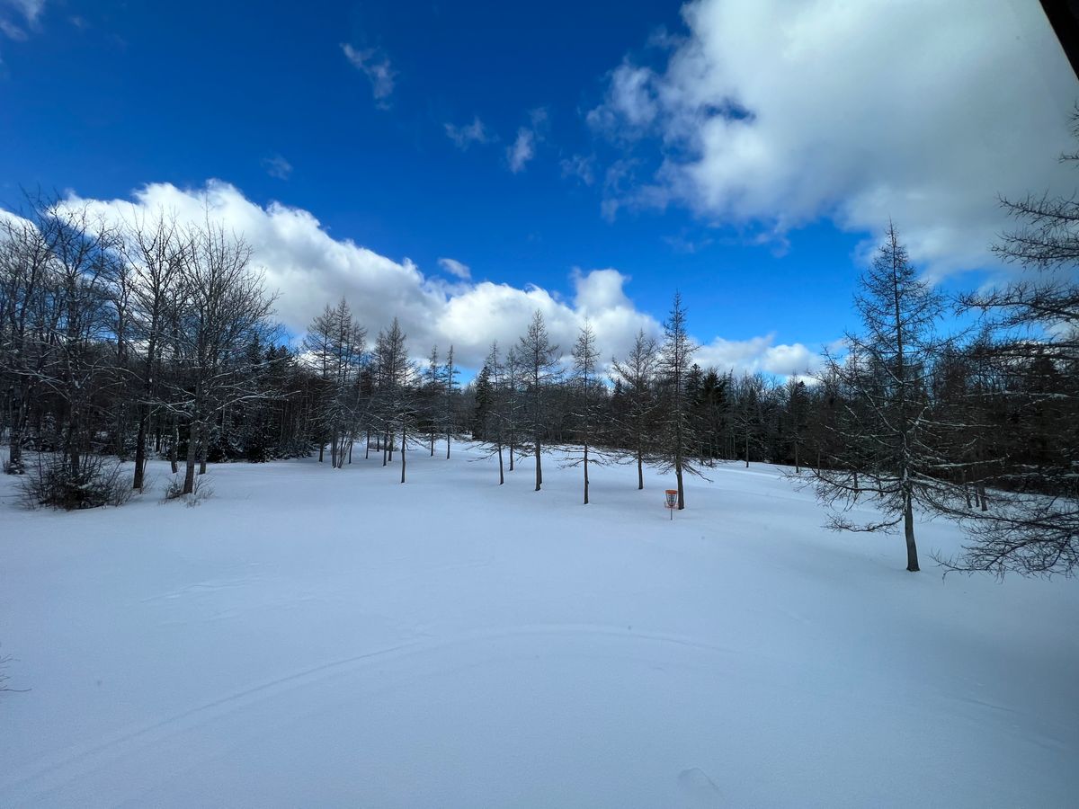Fresh powder and blue skies