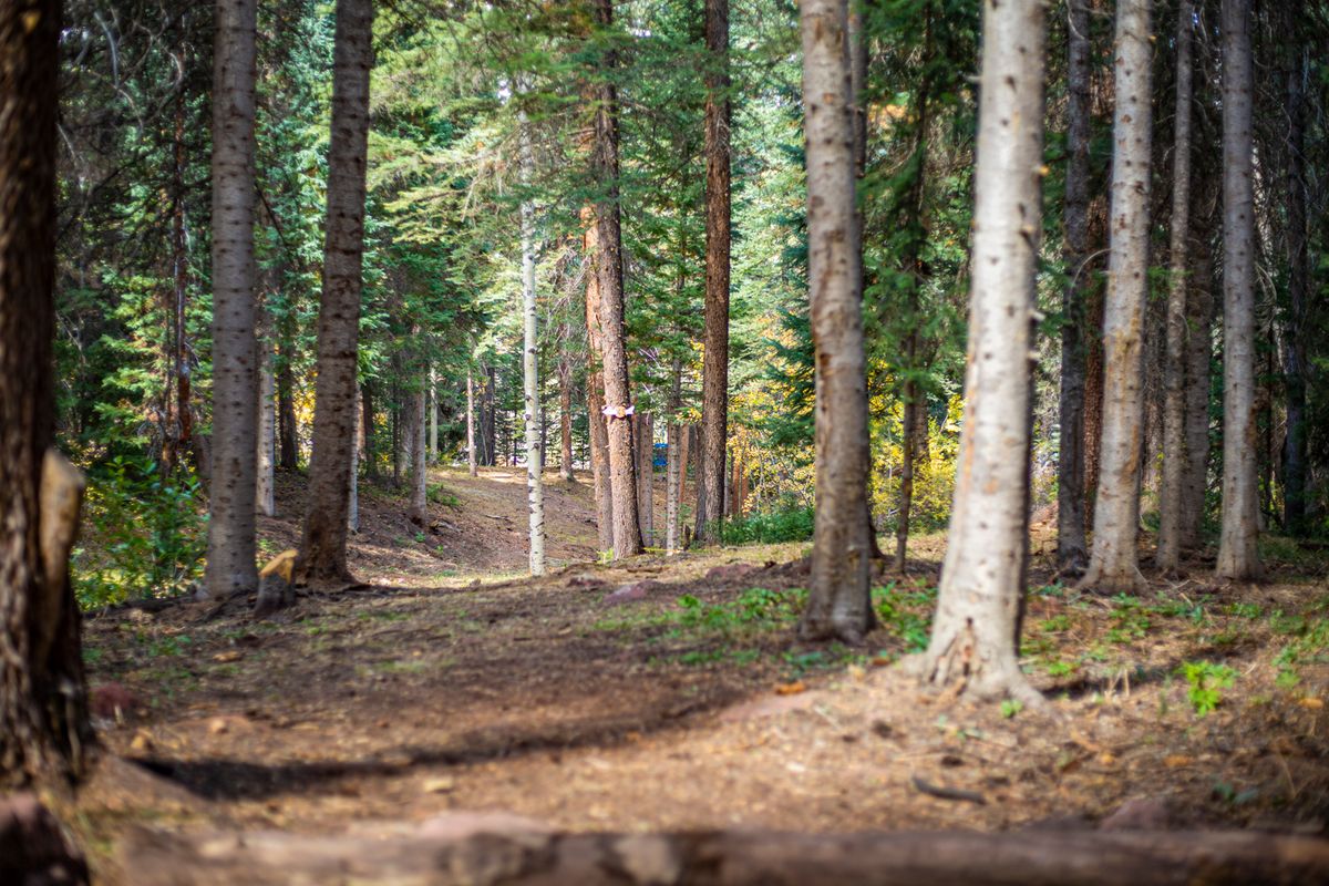 Hole 9 tee with basket in A position

📸: Kevin Banker || Banker Cinefoto || September 2020