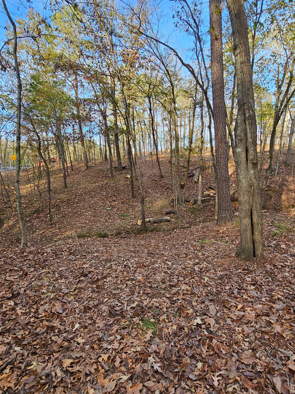 Hole 11