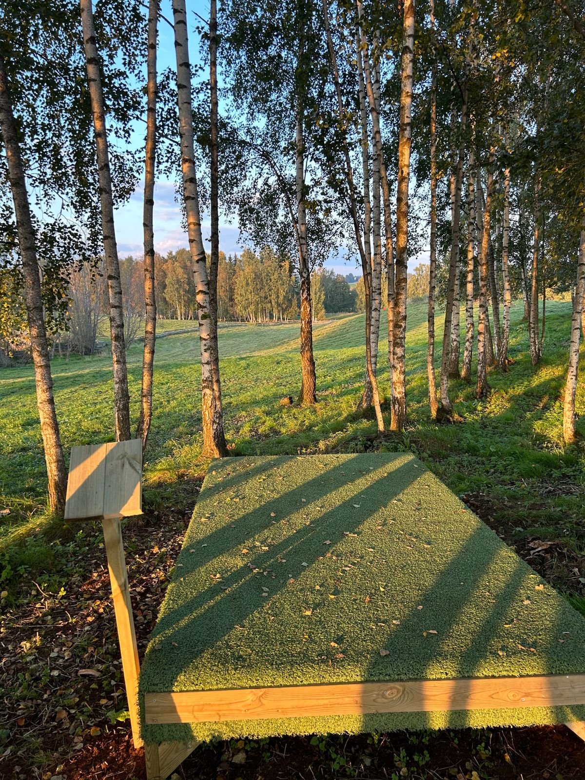 Hole 2 Teepad