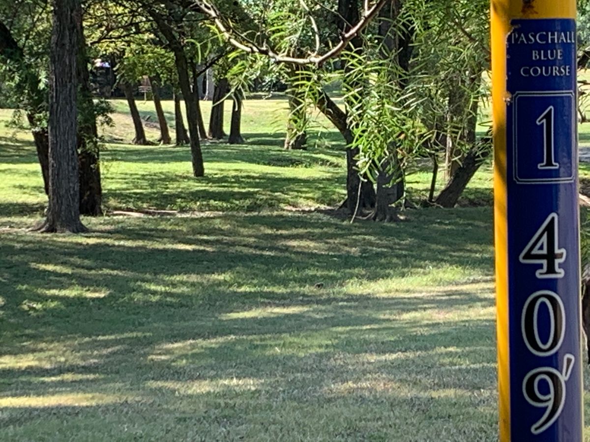 Hole 1. Blue Tee. 409 Feet. Lots of trees to navigate to start off.